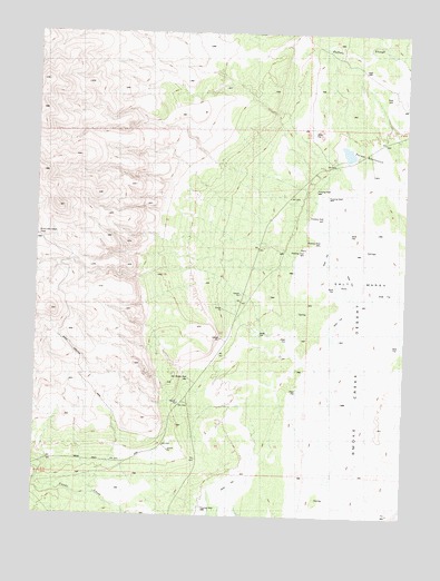 Salt Marsh, NV USGS Topographic Map