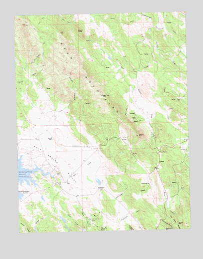 Salt Spring Valley, CA USGS Topographic Map