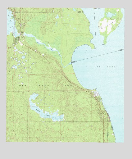 Salt Springs, FL USGS Topographic Map