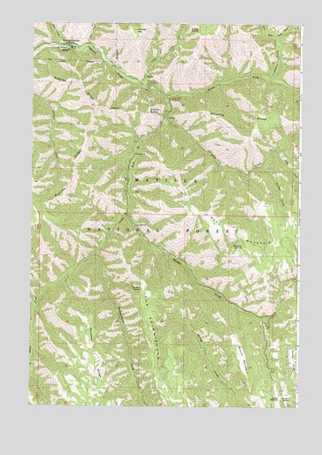 Bingham Springs, OR USGS Topographic Map