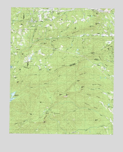 Saluda, NC USGS Topographic Map