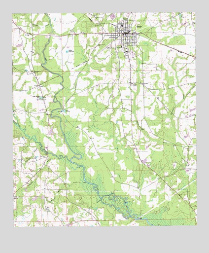 Samson, AL USGS Topographic Map