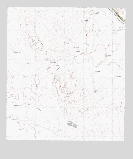 West of Salt Well, TX USGS Topographic Map