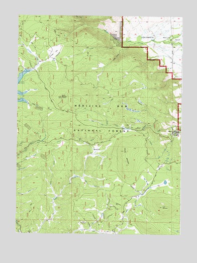 Albany, WY USGS Topographic Map