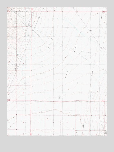 Birch Creek Ranch, NV USGS Topographic Map