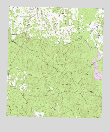 San Jacinto, TX USGS Topographic Map