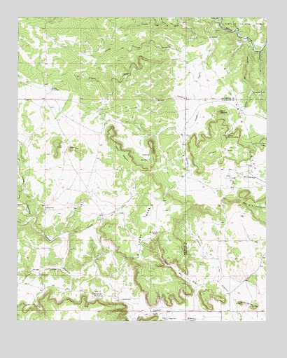 San Juan, NM USGS Topographic Map
