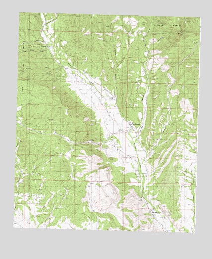 San Lorenzo, NM USGS Topographic Map