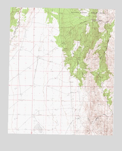 San Lorenzo Spring, NM USGS Topographic Map