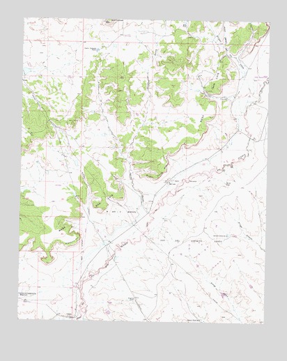 San Luis, NM USGS Topographic Map