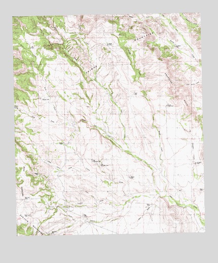 San Luis Pass, NM USGS Topographic Map