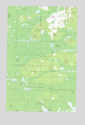 Birchdale SW, MN USGS Topographic Map