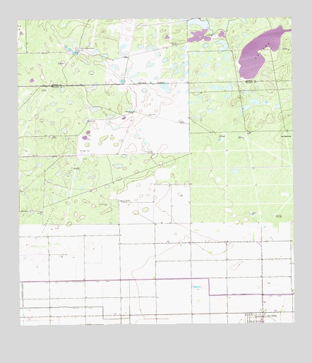 San Perlita North, TX USGS Topographic Map