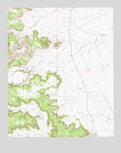 San Ramon, NM USGS Topographic Map