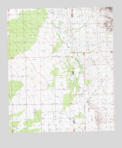 San Simon Cienega, NM USGS Topographic Map