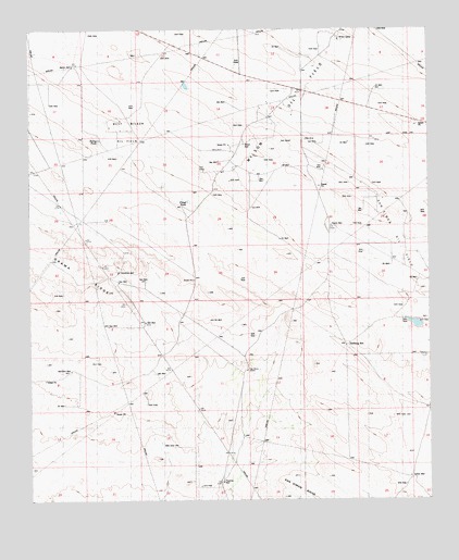 San Simon Ranch, NM USGS Topographic Map