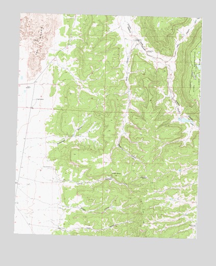 Sand Canyon, NM USGS Topographic Map