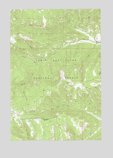 Sand Point, MT USGS Topographic Map