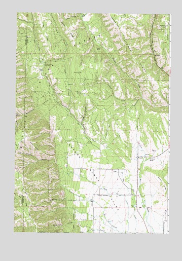 Sanderson Spring, OR USGS Topographic Map