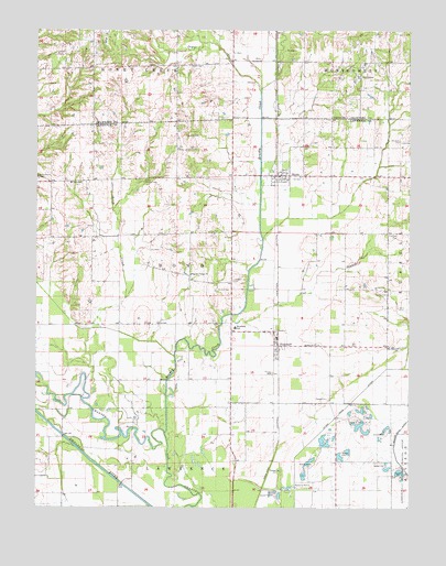 Birds, IL USGS Topographic Map