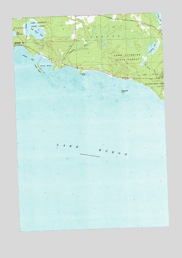 Albany Island, MI USGS Topographic Map