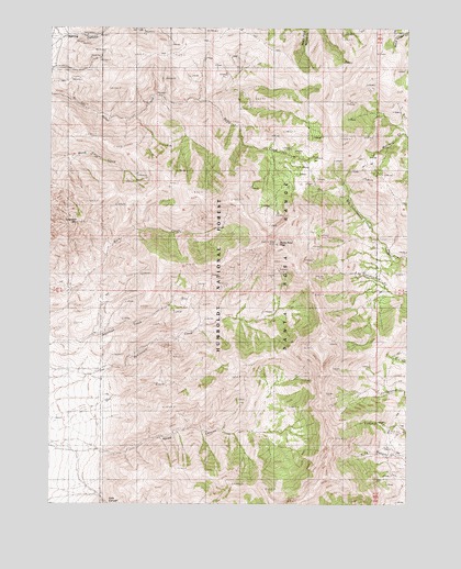 Santa Rosa Peak, NV USGS Topographic Map