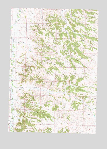 Birdseye Spring, MT USGS Topographic Map