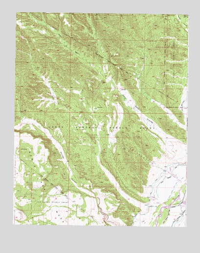 Santo Domingo Pueblo SW, NM USGS Topographic Map