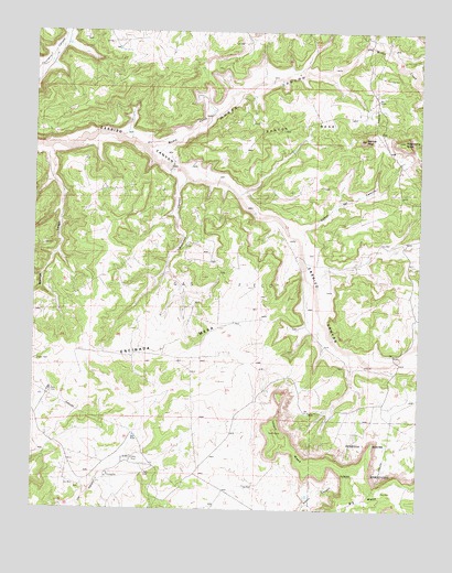 Santos Peak, NM USGS Topographic Map