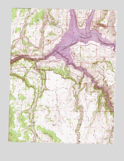 Sapinero, CO USGS Topographic Map