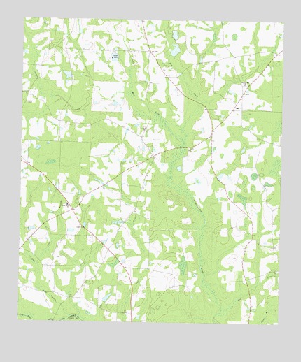 Sapps Lake, GA USGS Topographic Map