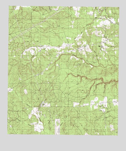 Birdwell Lake, TX USGS Topographic Map
