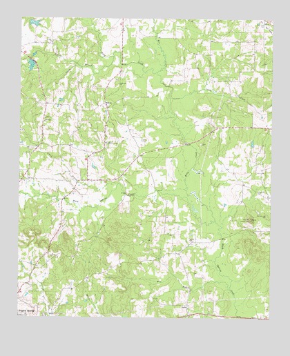 Sardis, TX USGS Topographic Map