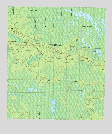 Sargent, FL USGS Topographic Map