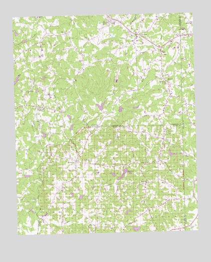 Birmingham, GA USGS Topographic Map