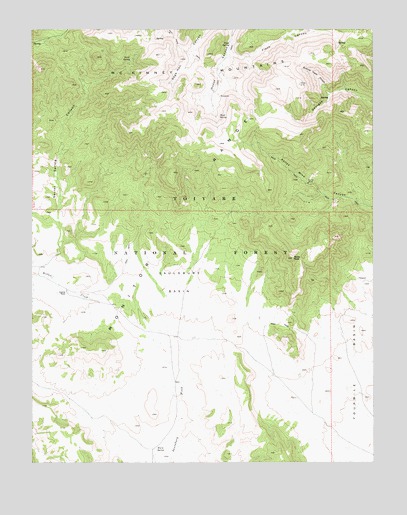 Saulsbury Basin, NV USGS Topographic Map
