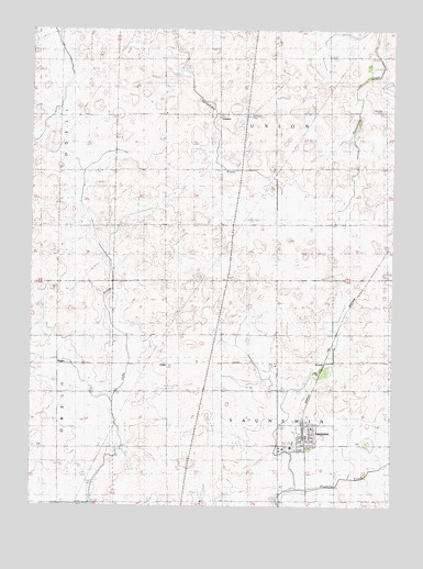 Saunemin, IL USGS Topographic Map