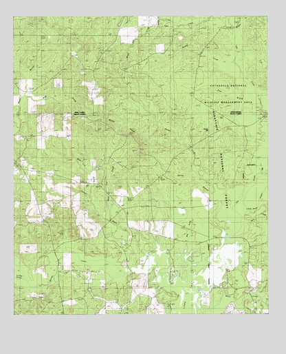 Savage Creek, LA USGS Topographic Map