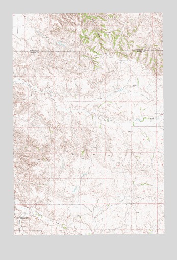 Savage SE, MT USGS Topographic Map