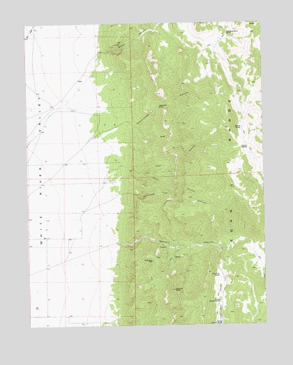Sawmill Canyon, NV USGS Topographic Map