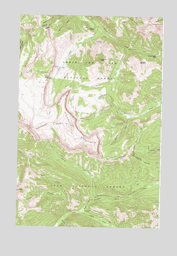 Scapegoat Mountain, MT USGS Topographic Map