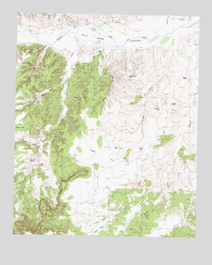 Schott Mountain, TX USGS Topographic Map