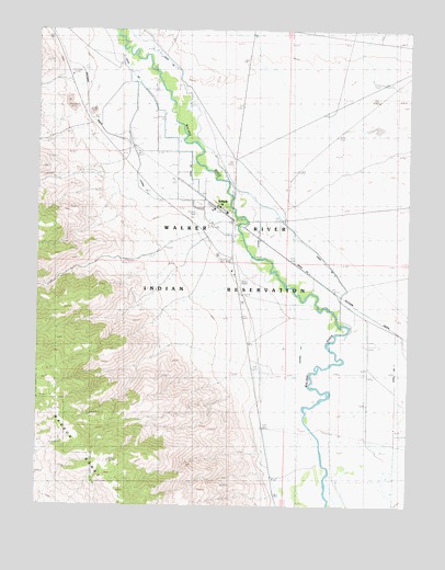 Schurz, NV USGS Topographic Map