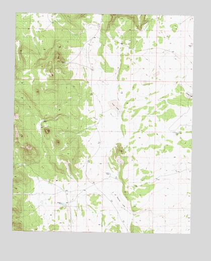 Bishop Lake, AZ USGS Topographic Map