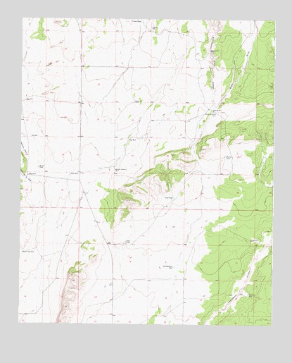Bishop Ranch, NM USGS Topographic Map