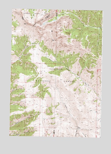 Scott Peak, ID USGS Topographic Map