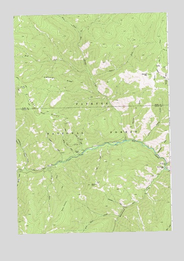 Bismark Mountain, ID USGS Topographic Map