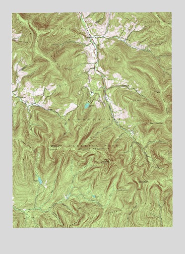 Seager, NY USGS Topographic Map