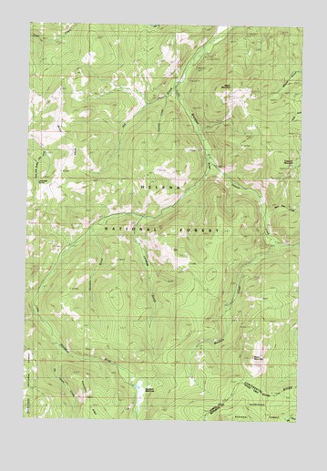 Bison Mountain, MT USGS Topographic Map