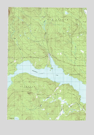 Seboomook Lake East, ME USGS Topographic Map
